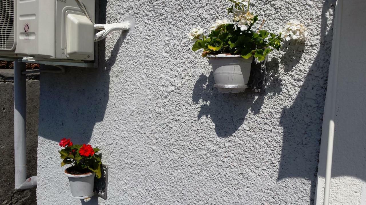 Apartments Princip Orlec エクステリア 写真